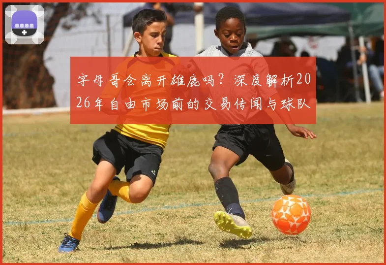 字母哥会离开雄鹿吗?深度解析2026年自由市场前的交易传闻与球队前景