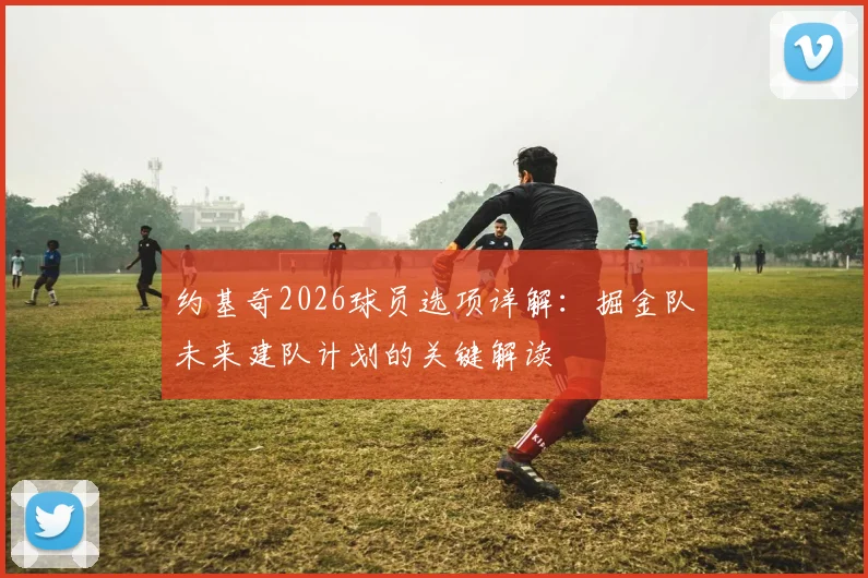 约基奇2026球员选项详解：掘金队未来建队计划的关键解读