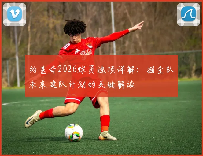 约基奇2026球员选项详解：掘金队未来建队计划的关键解读